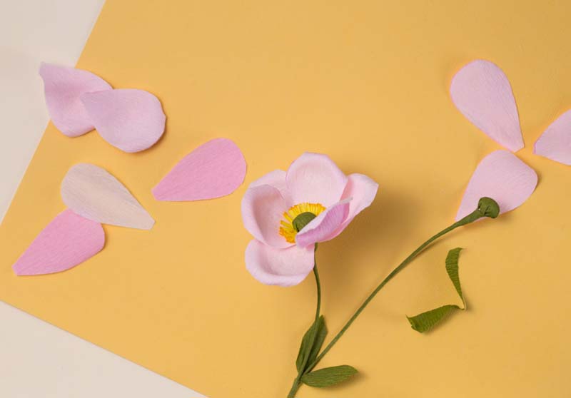 HOORAY-Magazine_How-To-Make-Paper-Flowers_02