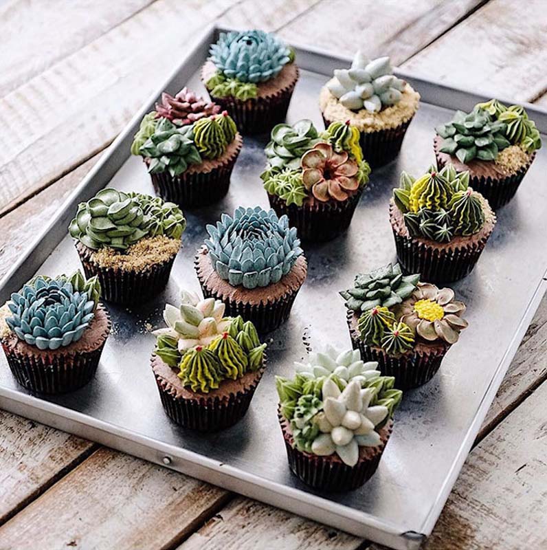 Cactus-Cup-Cakes_Desert-Desserts_17