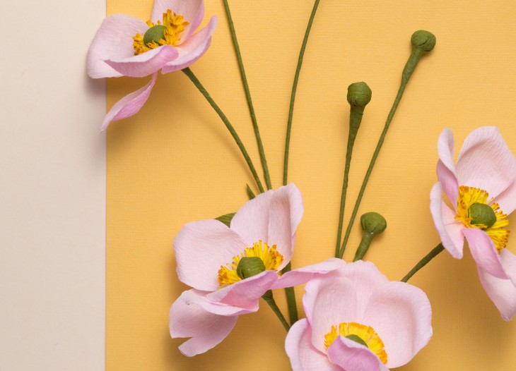 How-To-Make-Japanese-Anenomes-Paper-Flowers-Hero