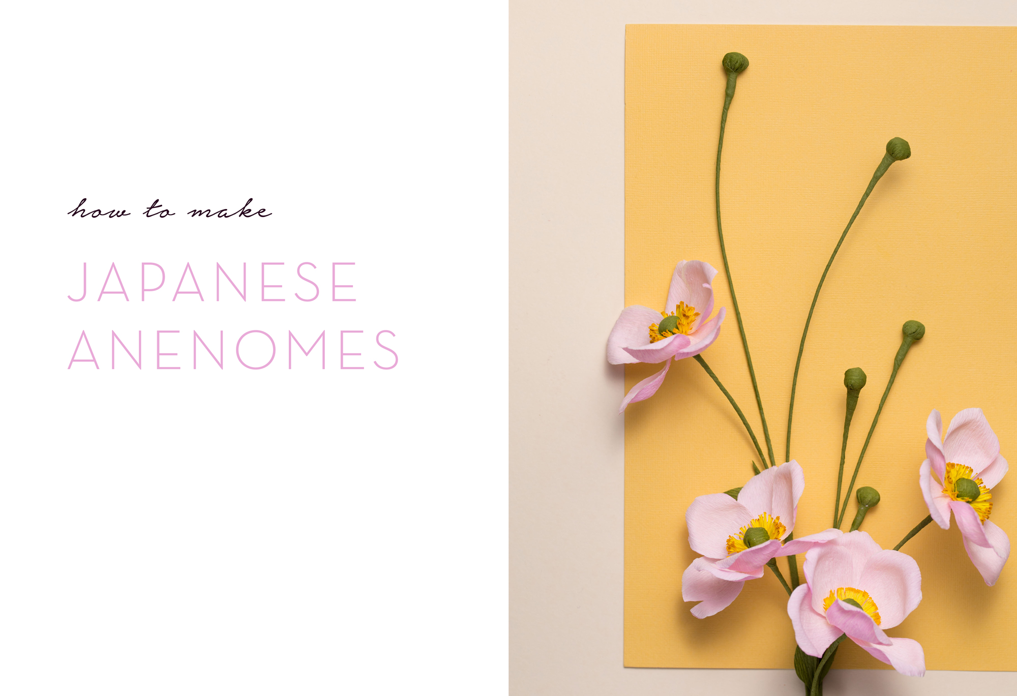 How-To-Make-Japanese-Anenomes-Paper-Flowers